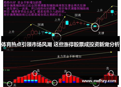 体育热点引领市场风潮 这些涨停股票成投资新宠分析